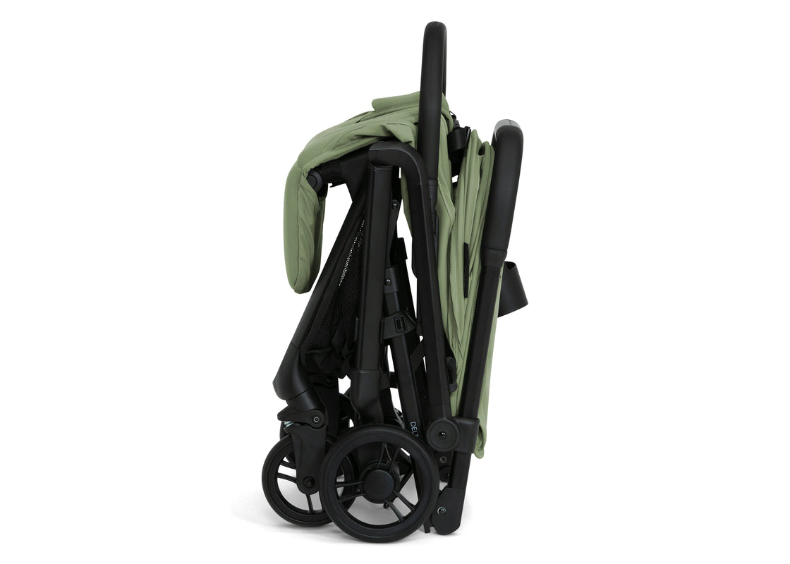 Sage Green (2446) 11 - Carousel