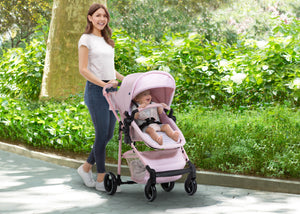 Pink Stripes (2356) 0