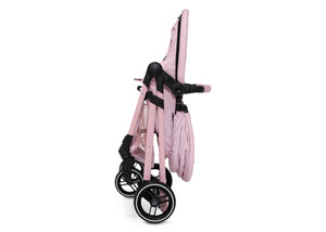 Pink Stripes (2356) 7