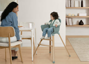 Sage Green (2445) 1-babyGap Otto 3-in-1 High Chair