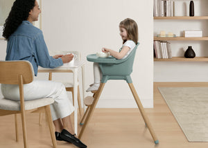 Sage Green (2445) 14-babyGap Otto 3-in-1 High Chair