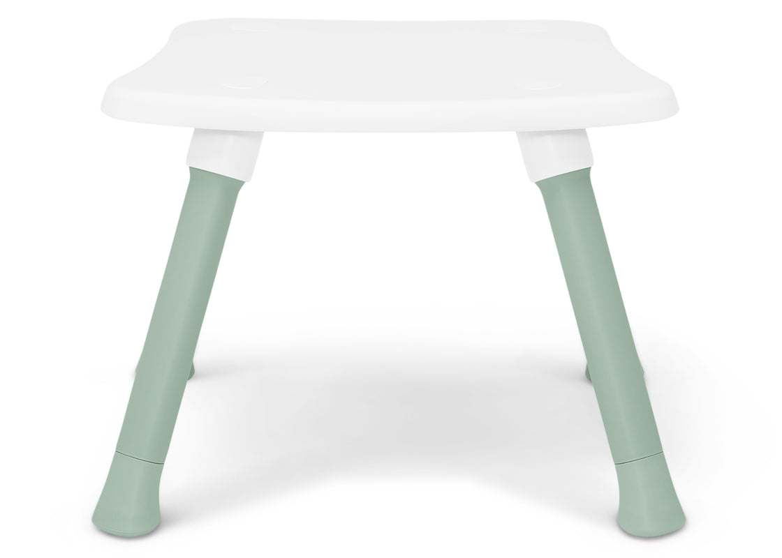 Sage Green (2446) 14 - Carousel