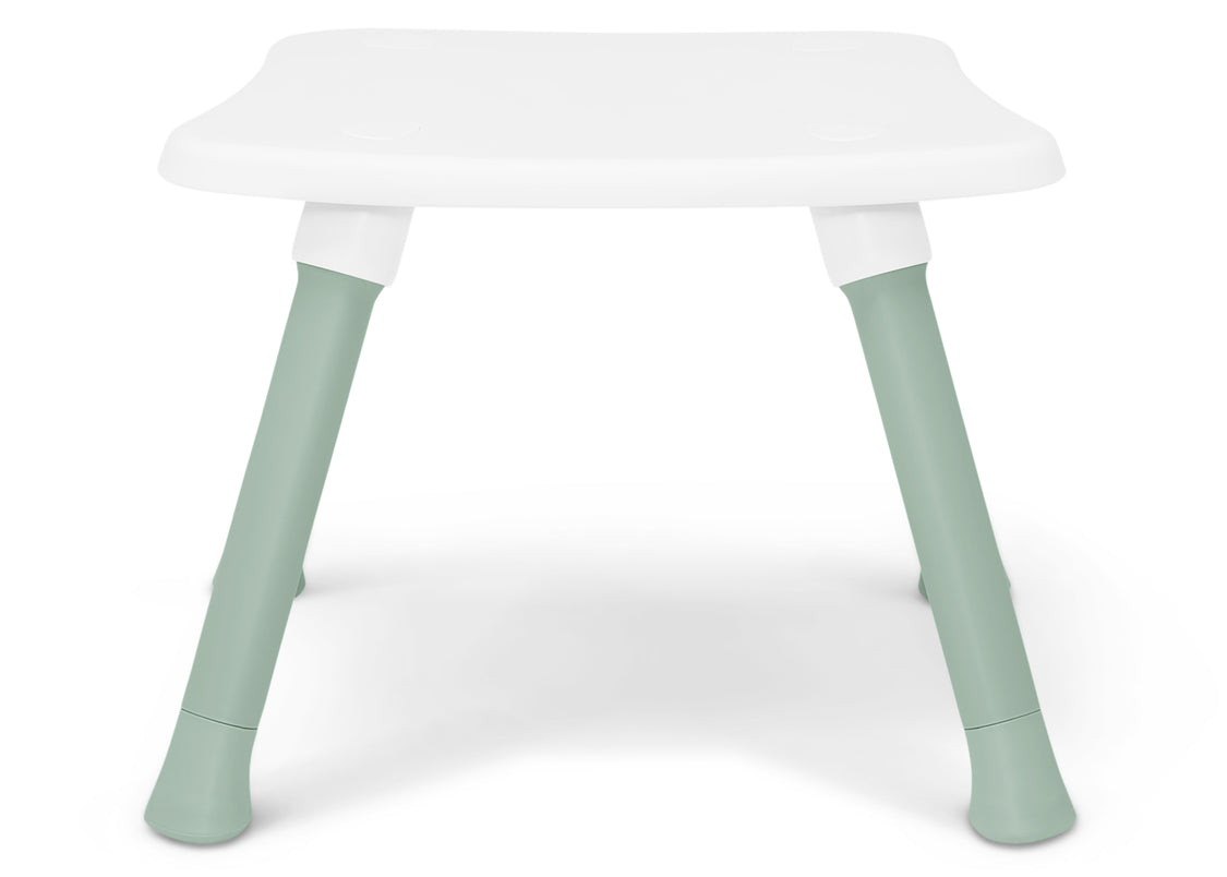 Sage Green (2446)