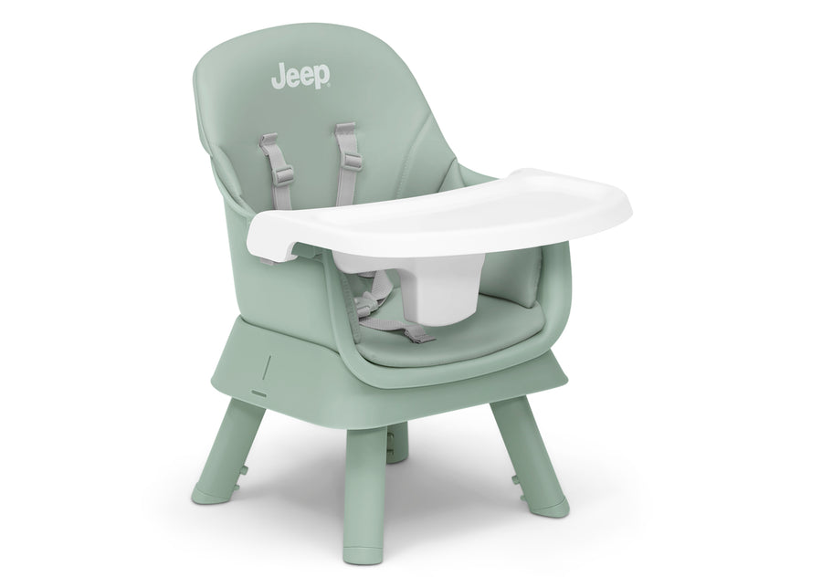 Sage Green (2446) 16-Milestone 6-in-1 High Chair