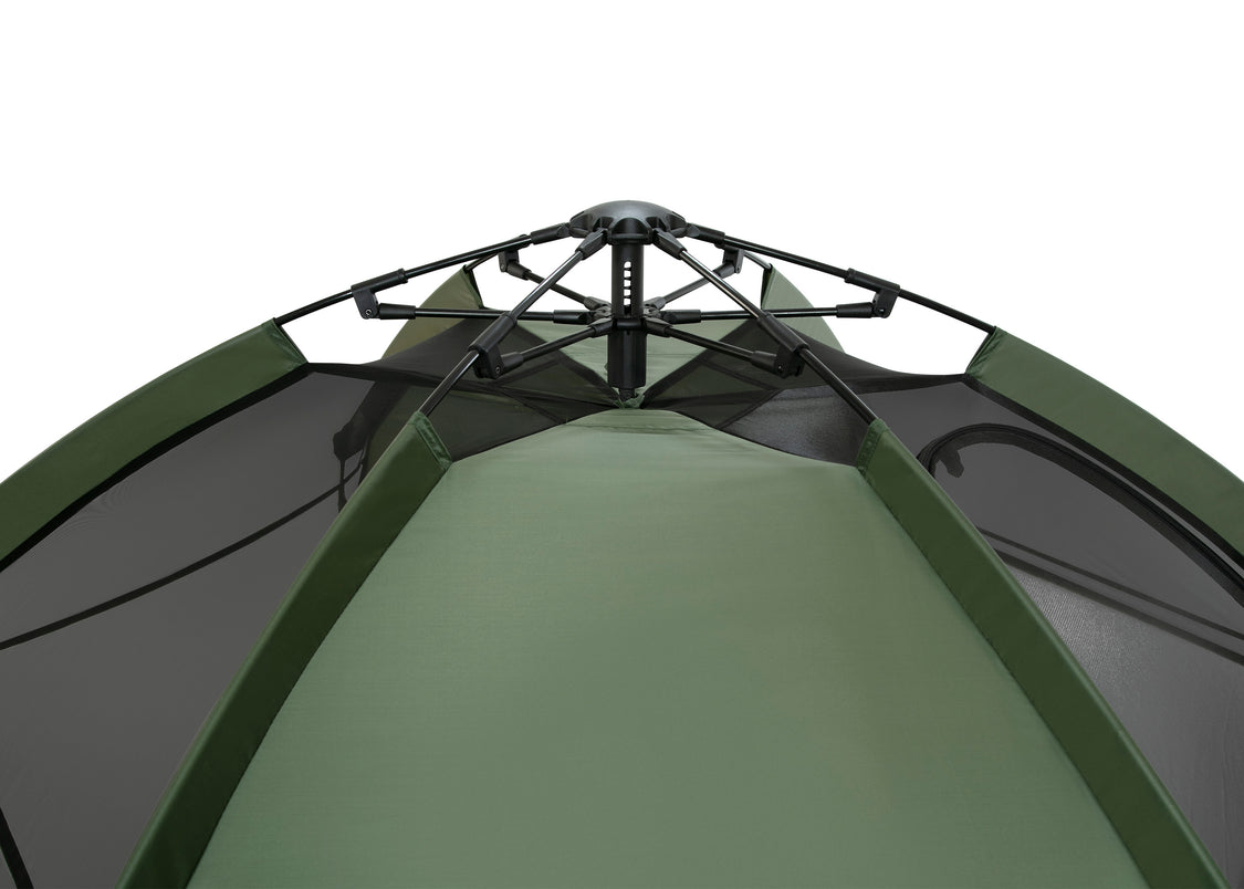 Black with Olive Green (2182)