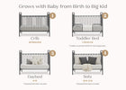 Stages of a multi-functional bed product from crib to sofa on a white background 20-Darcy 4-in-1 Convertible Metal Crib