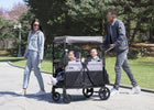 Grey Shadow (2363) 9-Jeep Aries Stroller Wagon