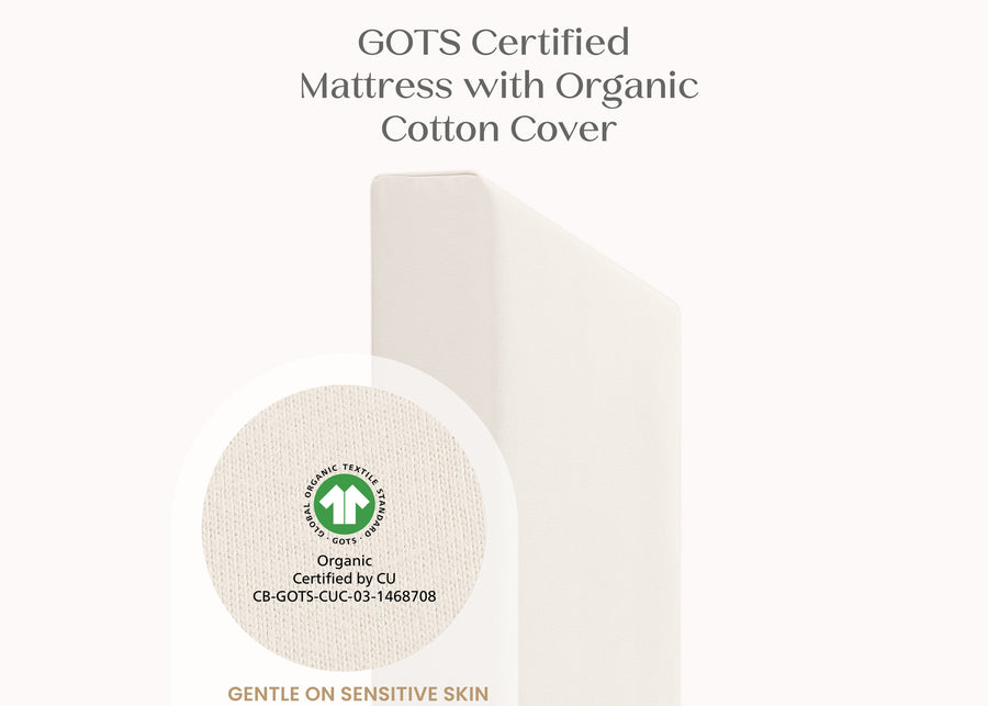 No Color (NO) 3-CleanEarth Certified Organic Crib and Toddler Mattress