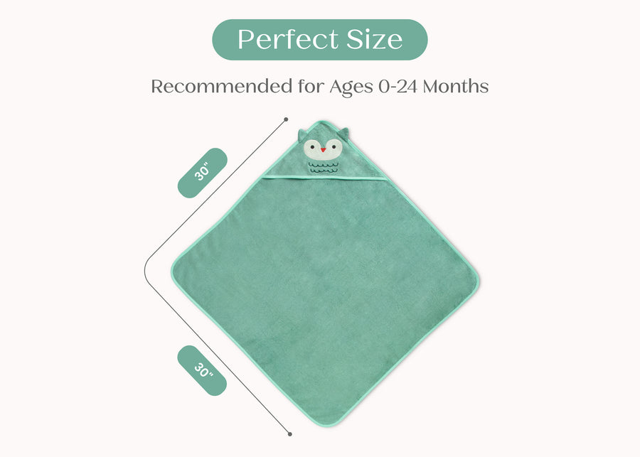Light Teal Owl (1258) 25-Baby Hooded Bath Towel
