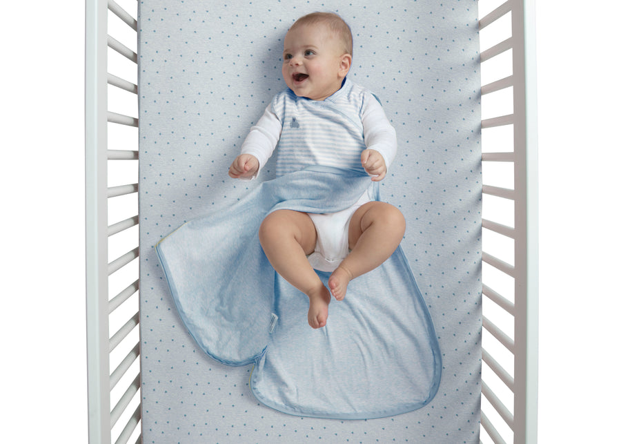 Blue Stripe (1274) 2-babyGap TrueSleep Sleep Sack, 6-12 Months