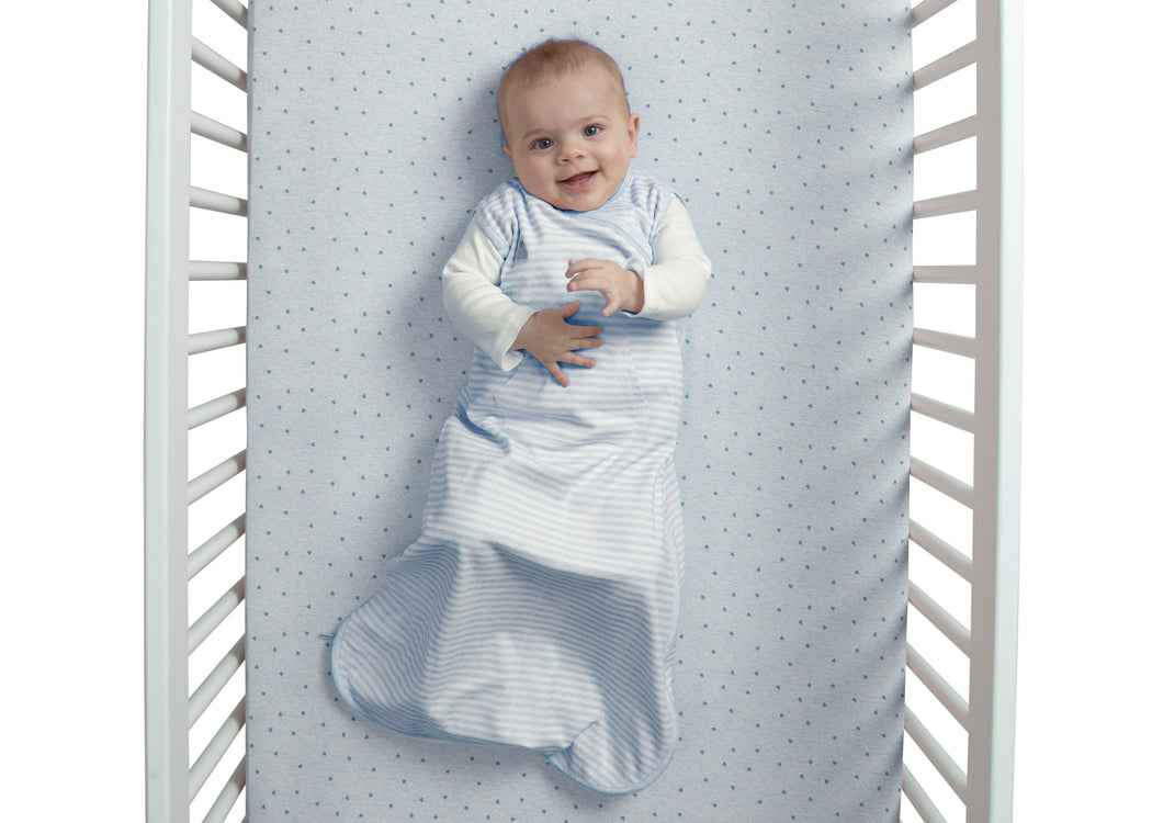 Blue Stripe (1274)