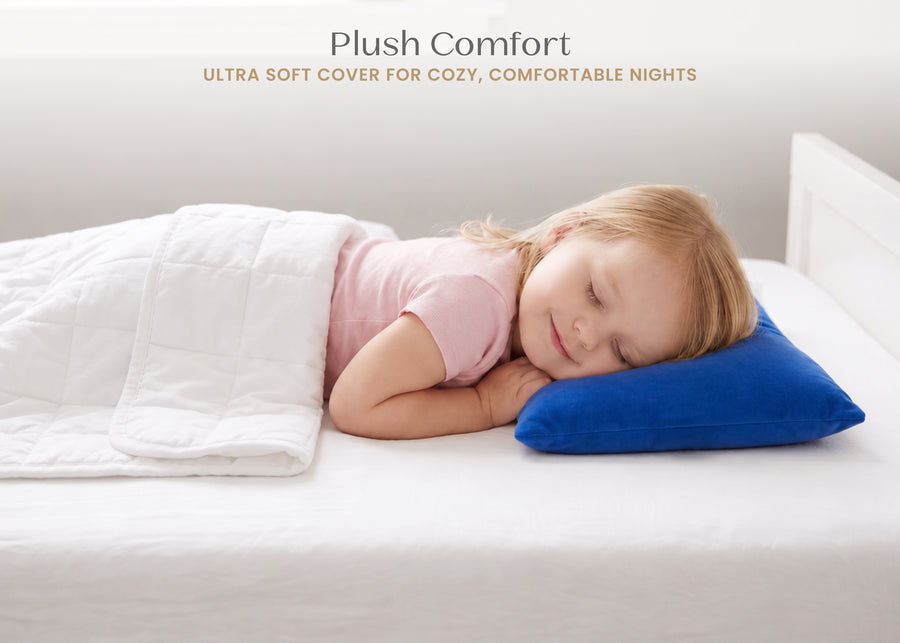 Blue (2222) 3-Plush Comfort Toddler Pillow