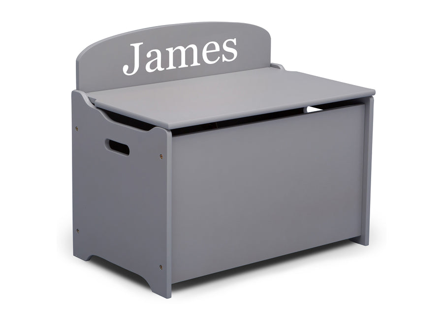 Grey (026) 9-Personalized MySize Deluxe Toy Box