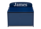 Blue (295C) 2-Personalized MySize Deluxe Toy Box