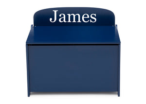 Personalized MySize Deluxe Toy Box | Delta Children
