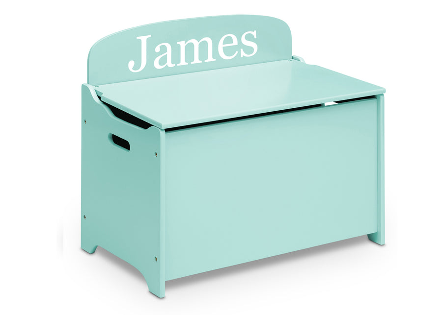 Mint (573C) 12-Personalized MySize Deluxe Toy Box