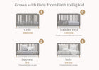 Grey with Natural (1359) 18-Essex 4-in-1 Convertible Crib