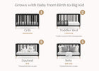 Ebony with Natural (1482) 51-Essex 4-in-1 Convertible Crib