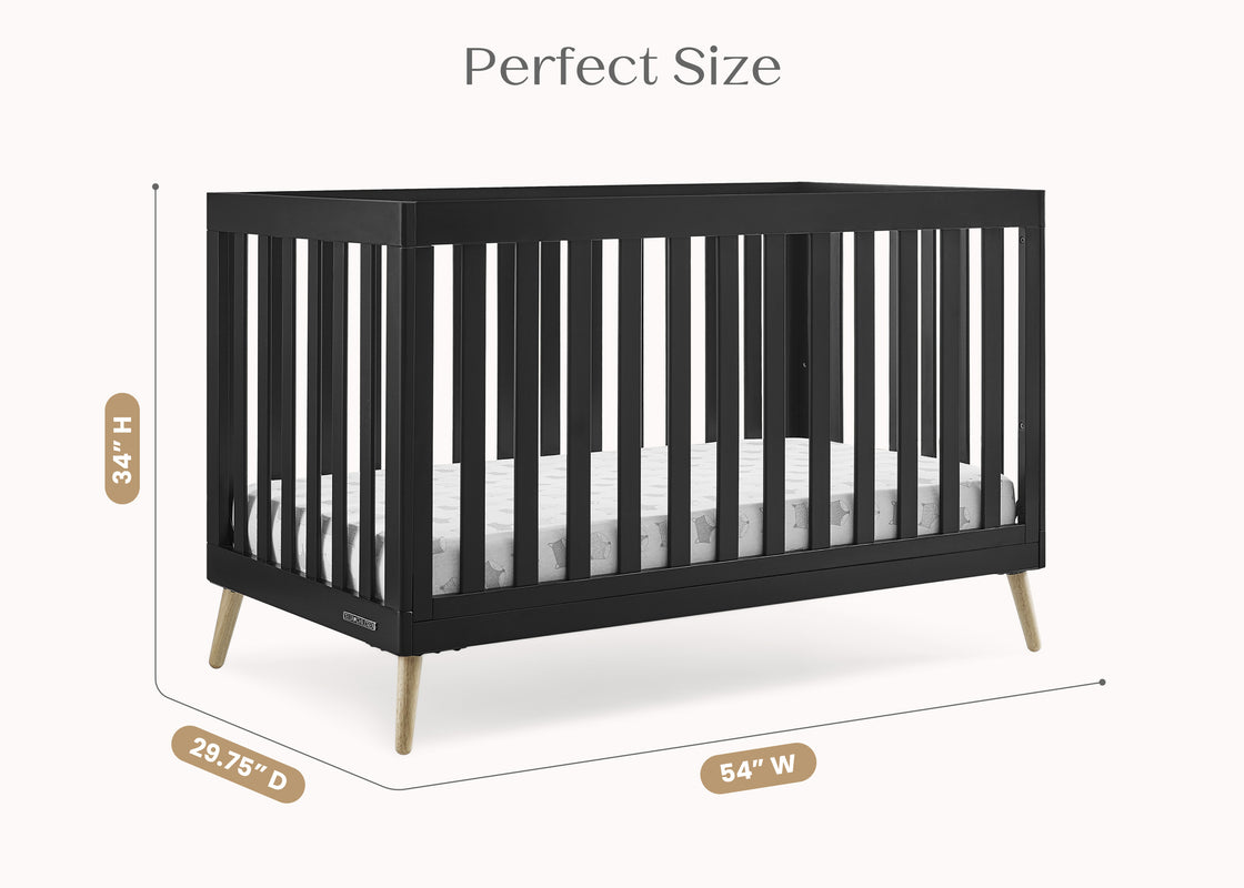 Ebony with Natural (1482) 6 - Carousel
