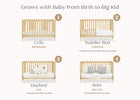 Natural (746) 35-Essex 4-in-1 Convertible Crib