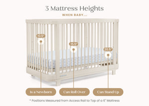 Soft Beige (1560) 22