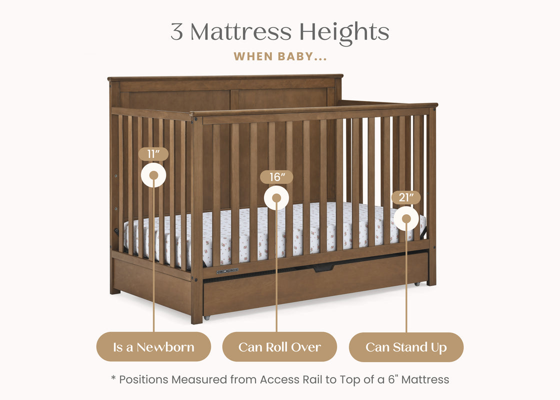 Chestnut (836) 5 - Carousel