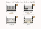 Midnight Grey (1360) 18-Eloise 4-in-1 Convertible Crib