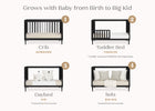 Ebony (0011) 3-Bowie 4-in-1 Convertible Crib