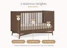 Teak Brown (1526) 21-Dylan 4-in-1 Convertible Crib