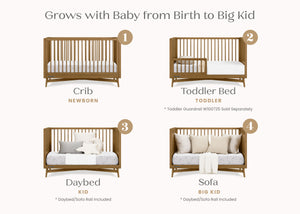 Acorn (755) 5-Dylan 4-in-1 Convertible Crib