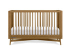 Acorn (755) 22-Dylan 4-in-1 Convertible Crib