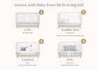Stages of a multi-functional furniture piece from crib to sofa, with text indicating growth stages. 10-Poppy 4-in-1 Convertible Crib