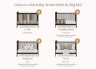Walnut Espresso (1324) 17-Lily 4-in-1 Convertible Crib
