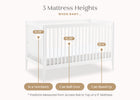 Bianca White (130) 23-Casey 6-in-1 Convertible Crib