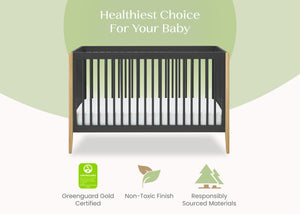 Charcoal Grey with Natural (1410) 7-Casey 6-in-1 Convertible Crib
