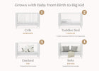 Bianca White (130) 3-Ollie 4-in-1 Convertible Crib