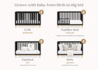 Ebony with Natural (1482) 3-Frankie 4-in-1 Convertible Crib