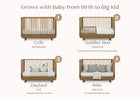 Acorn (755) 13-Rhodes 4-in-1 Convertible Crib