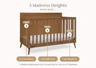 Chestnut (836) 5-Lola 6-in-1 Convertible Crib