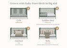 Grassy Glen (359) 17-Emmie 4-in-1 Convertible Crib