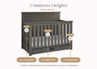 Rustic Grey (084) 5-Caden 6-in-1 Convertible Crib with Trundle Drawer