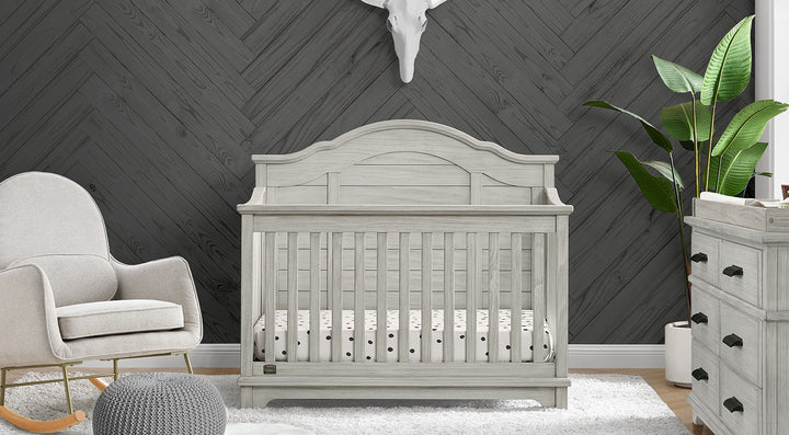 Asher Collection 8-Asher Collection