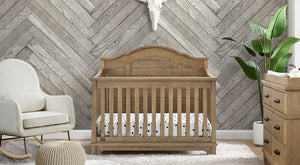 Asher Collection 8