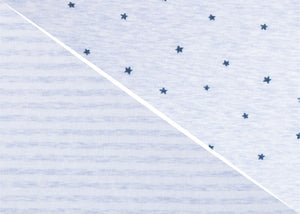 Blue Stars & Stripes (2242) 2
