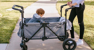 Baby in a stroller 11