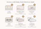 Soft Beige (1560) 3-Isabelle 6-in-1 Convertible Crib