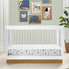 Bianca White with Acorn (1509) 15-James Acrylic 4-in-1 Convertible Crib