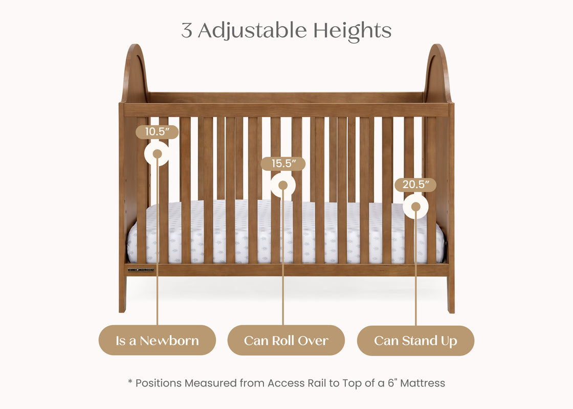 Chestnut (836) 4 - Carousel