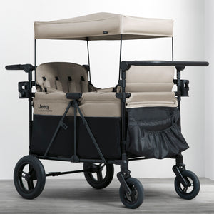 Black and Tan (2473) 10