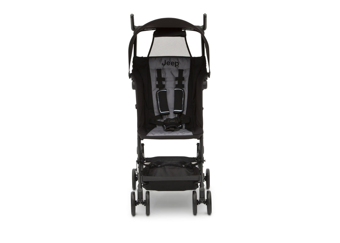Black with Grey (2184)